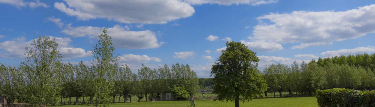 schelluinen Dorsraad Weiland